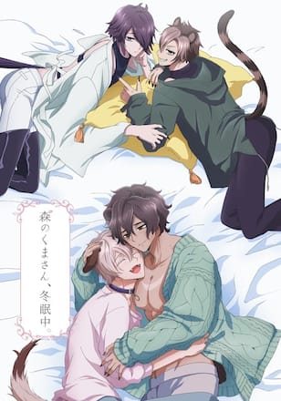 森のくまさん、冬眠中。