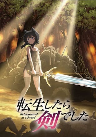 転生したら剣でした