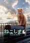 ねこしま
