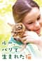 ルー、パリで生まれた猫