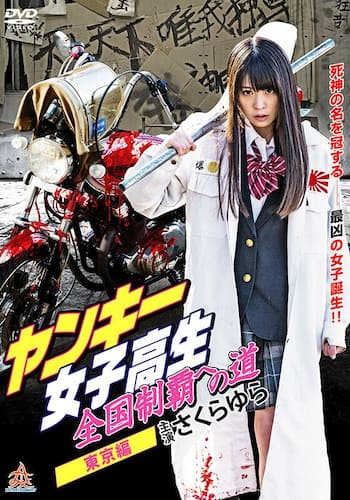 ヤンキー女子高生 全国制覇への道2 東京編