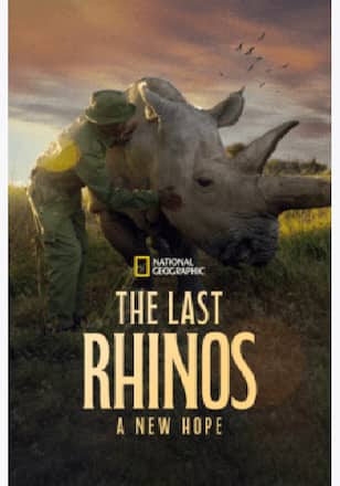 The Last Rhinos: A New Hope