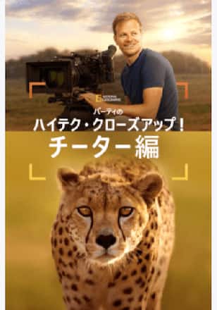 バーティのハイテク・クローズアップ！チーター編