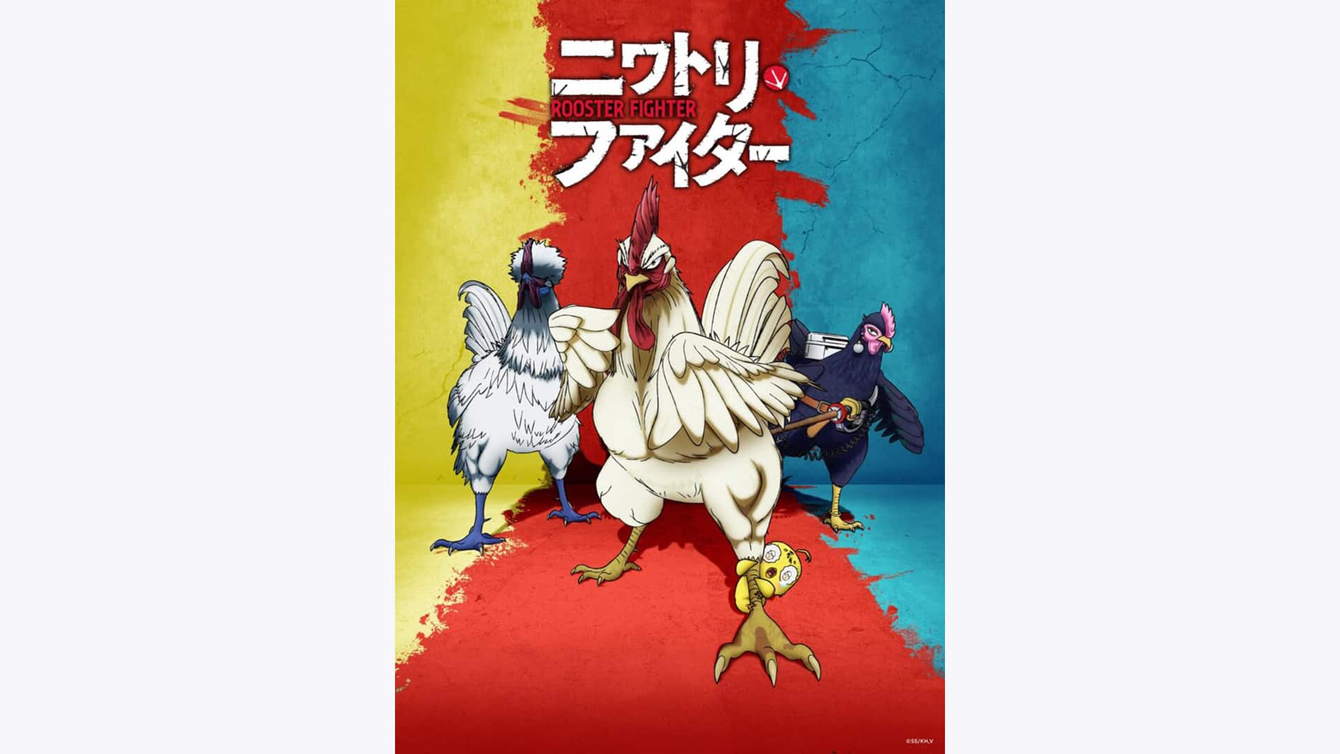 ニワトリ★スター　初回限定新品未開封DVD パンフレット　コースター 2026年最新】ニワトリ関連アイテムを探すならこちら！限定品や人気商品