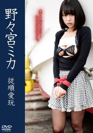 従順愛玩/野々宮ミカ