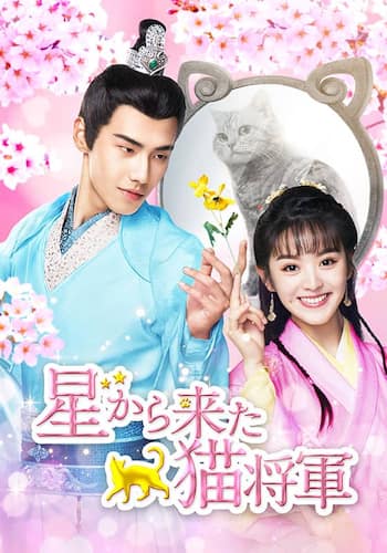 星から来た猫将軍