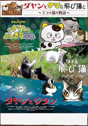 ダヤンとタマと飛び猫と　～3つの猫の物語～