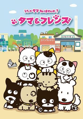 タマ＆フレンズ～うちのタマ知りませんか？～