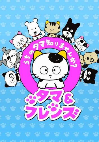 タマ＆フレンズ～うちのタマ知りませんか？～シーズン2