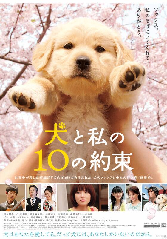 犬と私の10の約束